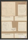Campylodiscus crebrecostatus Grev. (de-Toni-Nr.: Genus 57, Species 2449) Zeichnungen Sammlung Grunow Nr. 4929 (NHMW-BOT-W0373139)